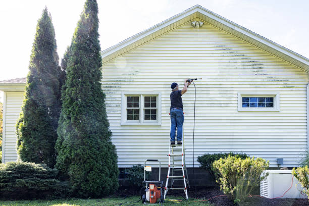 Best Roof Pressure Washing  in Rockwall, TX